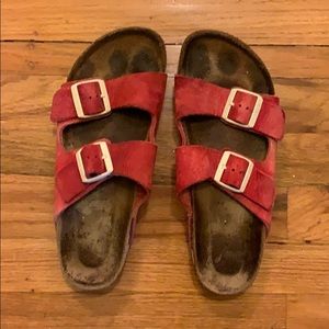 Cute birks!